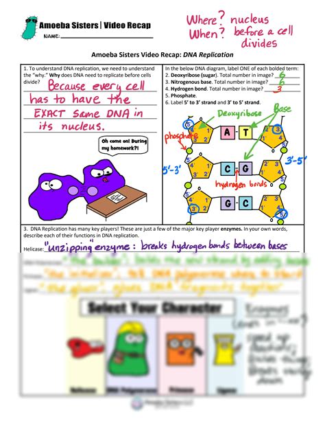 amoeba sisters video recap mutations updated answer key quizlet|amoeba sisters video recap dna replication answers.